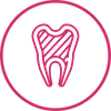 Endodontie